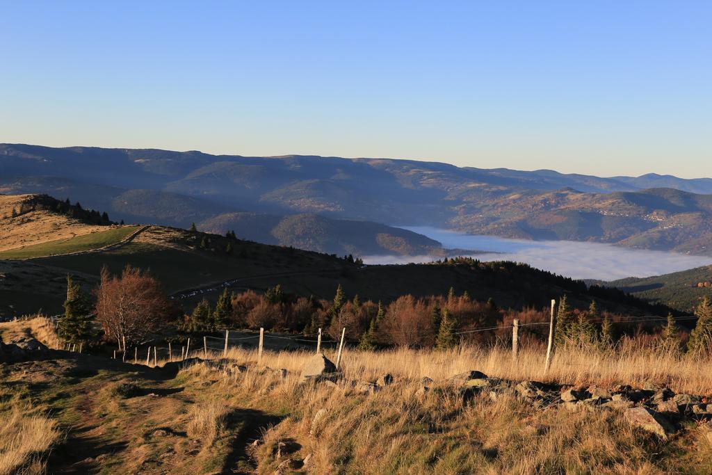 Le Holzberg Et Ses Suites Osenbach المظهر الخارجي الصورة